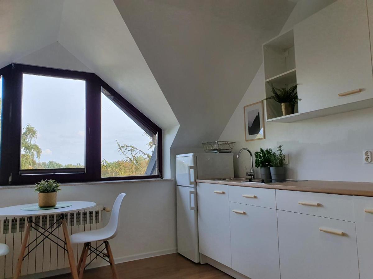 Studio Zubrowa Leilighet Gdańsk